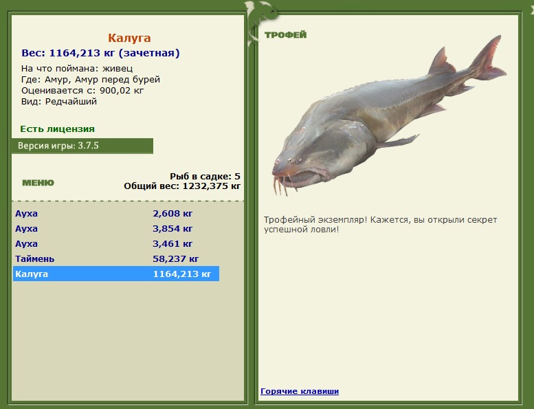Калуга 