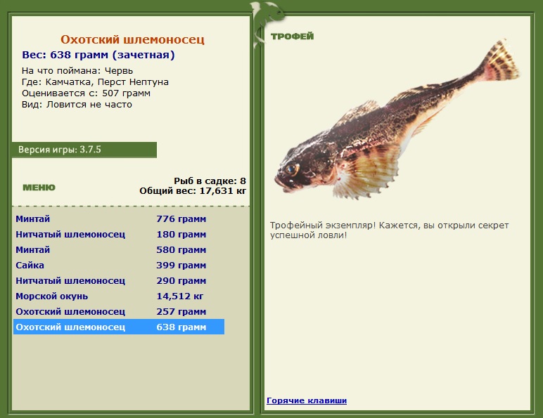 Охотский шлемоносец 