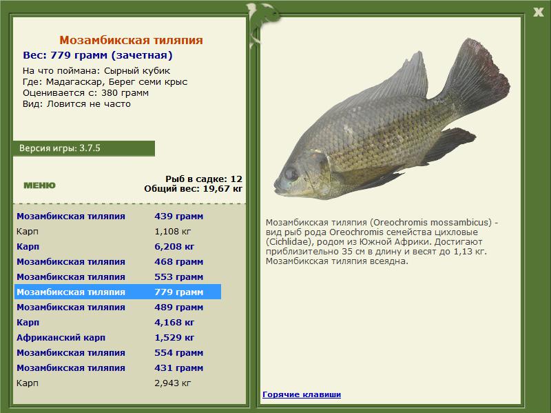 Берег семи крыс 