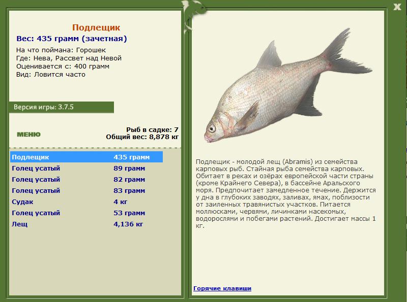 Рассвет над Невой 