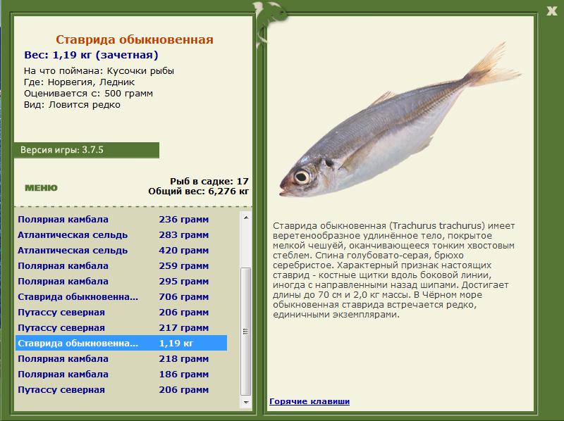 Ледник 