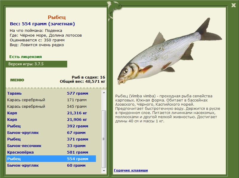 Долина лотосов 