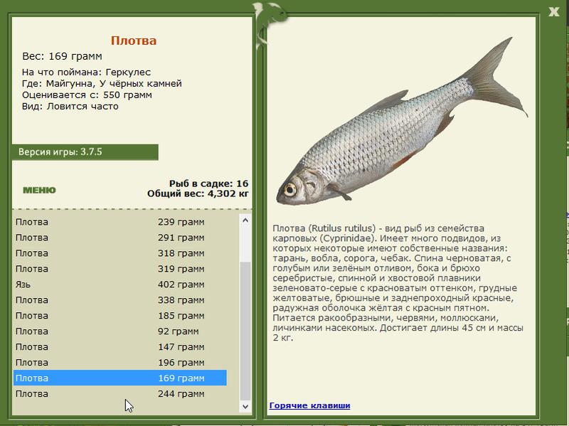 У чёрных камней 