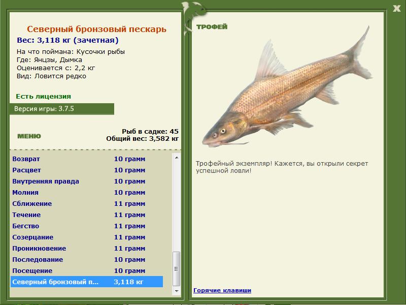 Северный бронзовый пескарь 