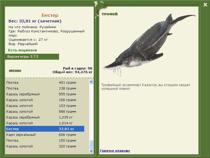 Бестер 