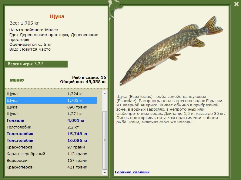 Деревенские просторы 