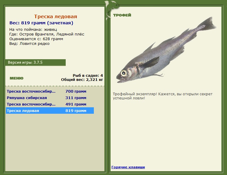 Треска ледовая 