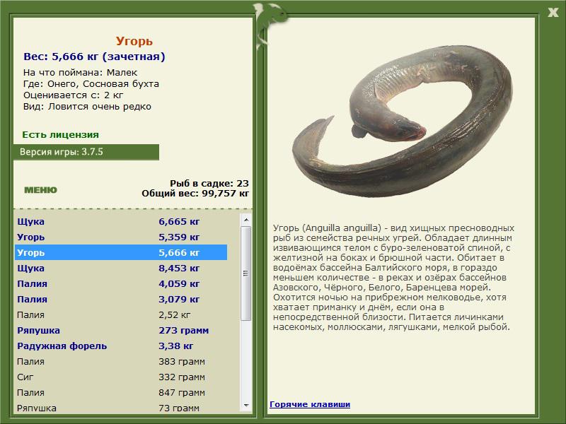 РУССКАЯ РЫБАЛКА Installsoft Edition 
