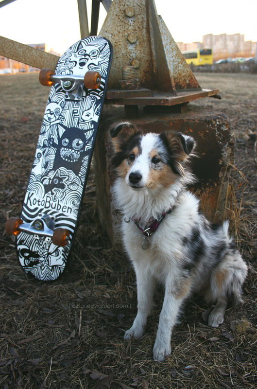  [ wanderer\\\'s dog ]