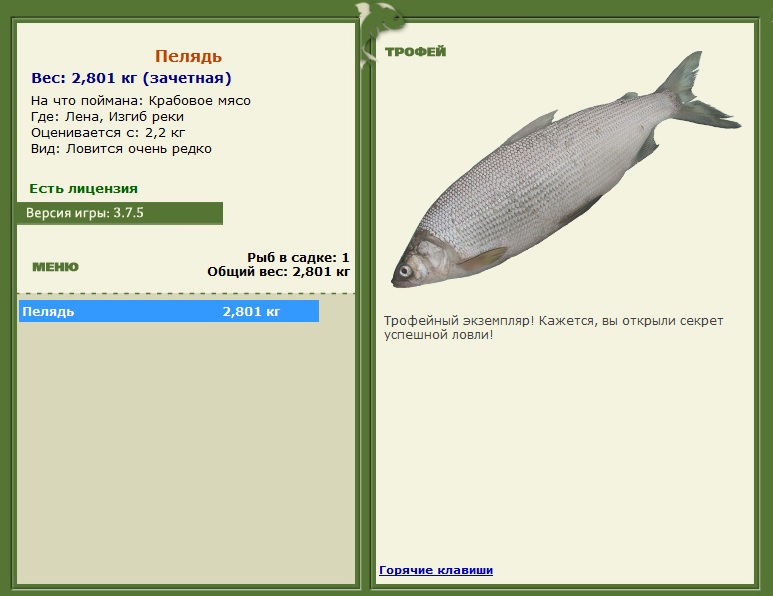 Изгиб реки 
