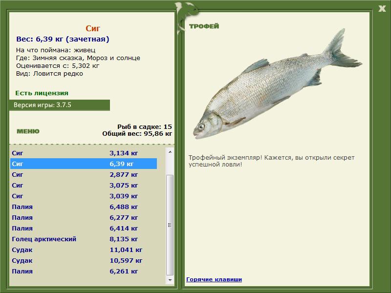 Мороз и солнце 