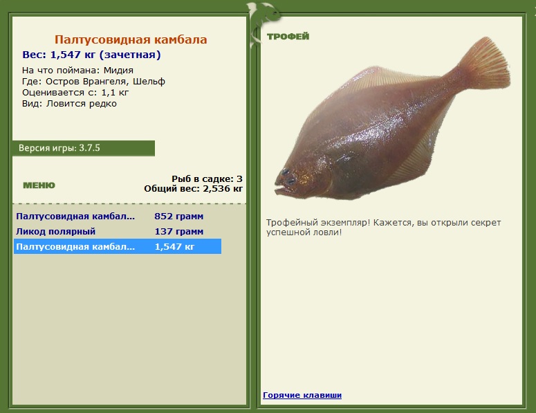 Палтусовидная камбала 