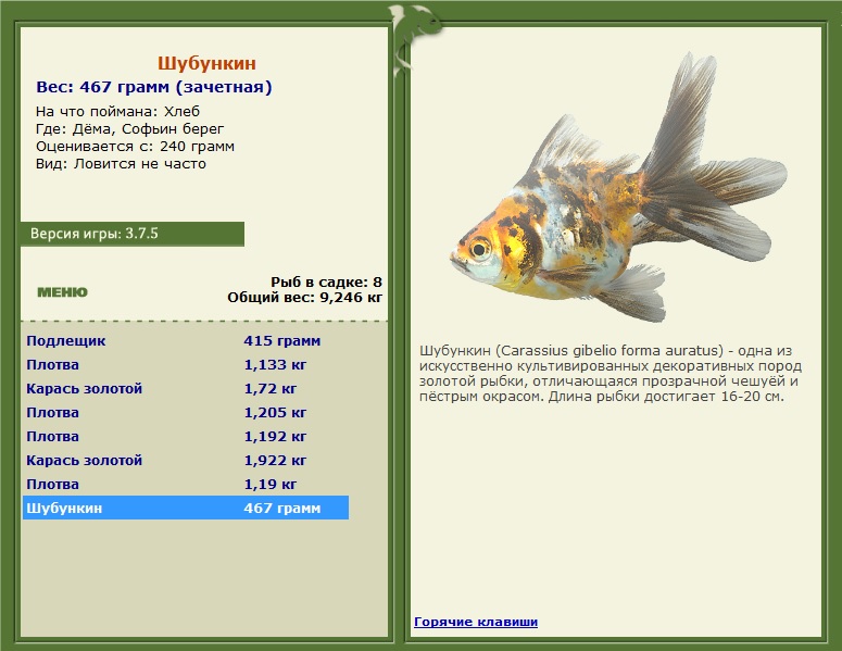 Софьин берег 
