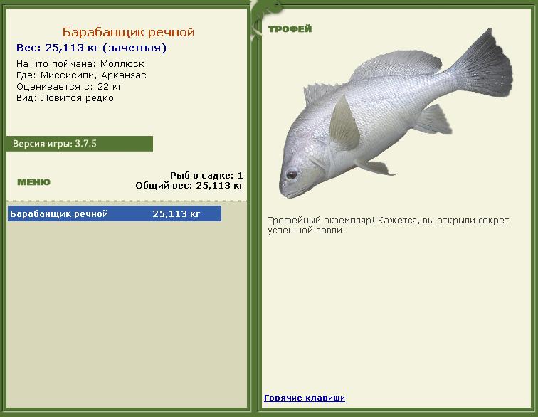 турниры • РУССКАЯ РЫБАЛКА