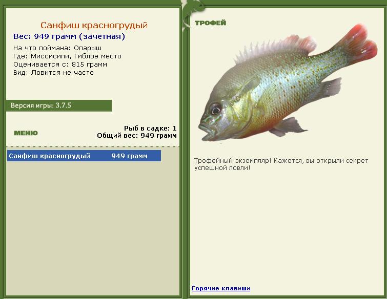 турниры • РУССКАЯ РЫБАЛКА