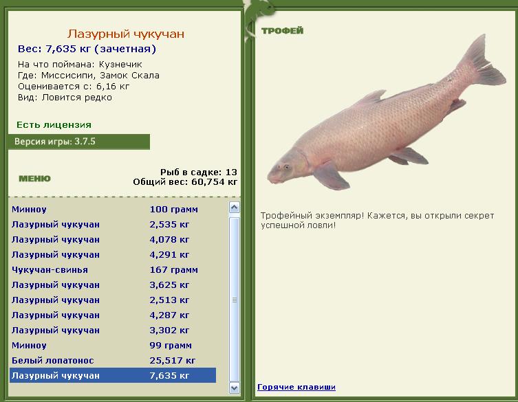турниры • РУССКАЯ РЫБАЛКА