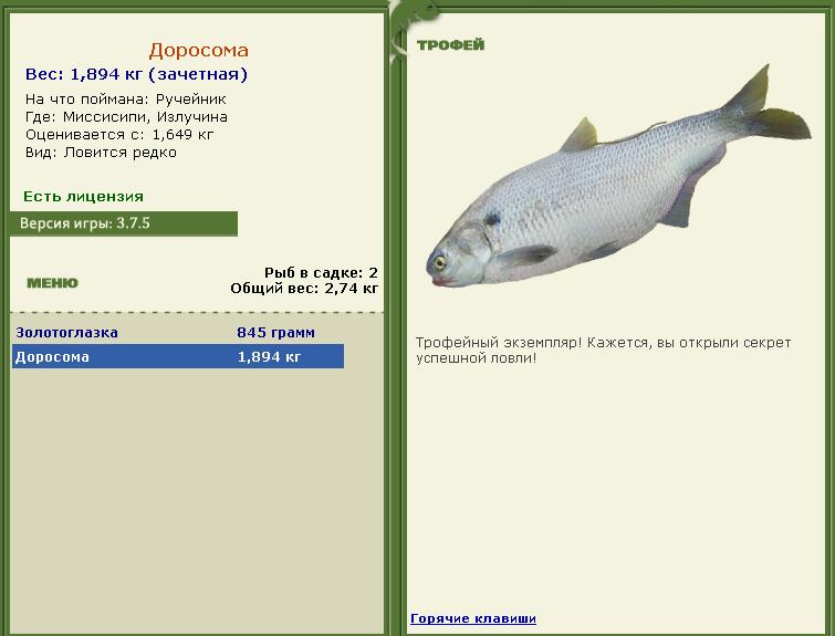 турниры • РУССКАЯ РЫБАЛКА