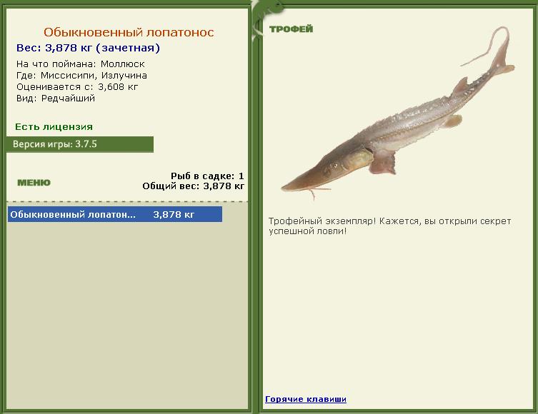 турниры • РУССКАЯ РЫБАЛКА
