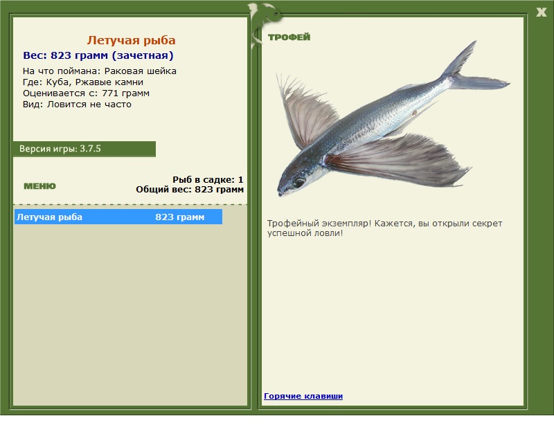 Летучая рыба 