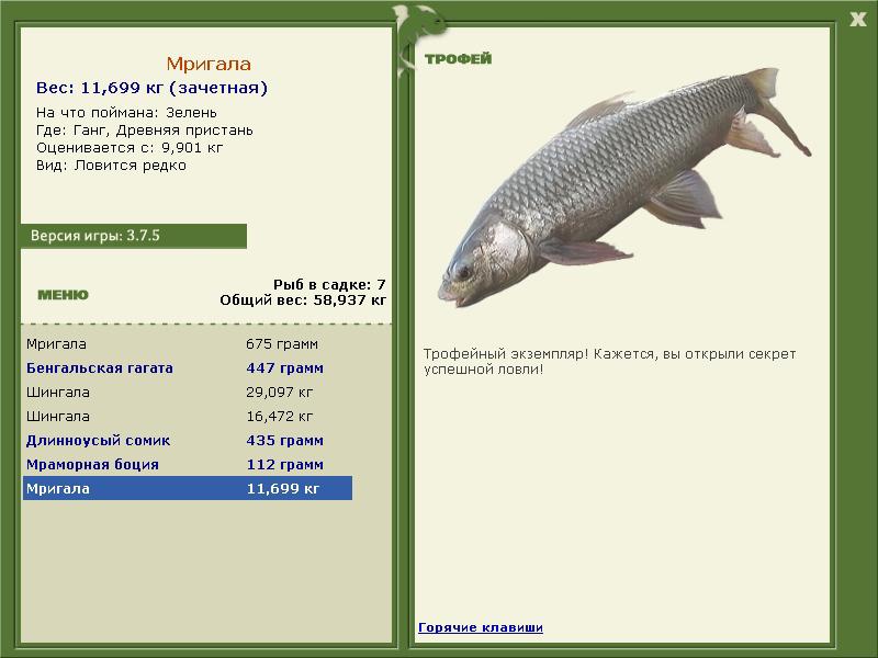 Мригала 