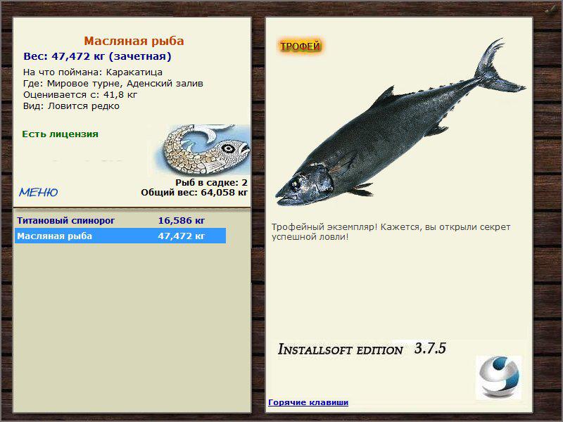 Аденский залив 