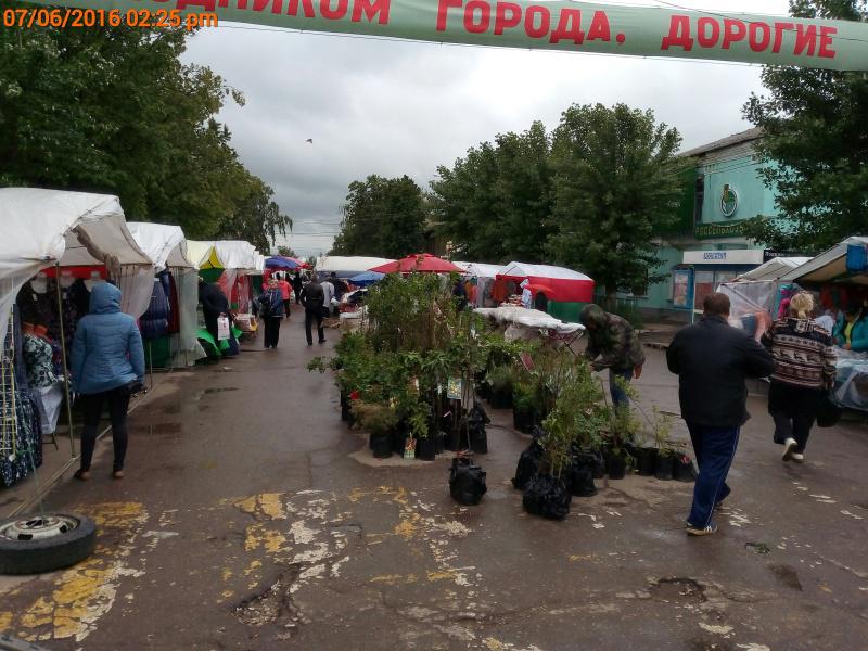 Ярмарка тщеславия… или новый ляп городской администрации? 146625762102952311