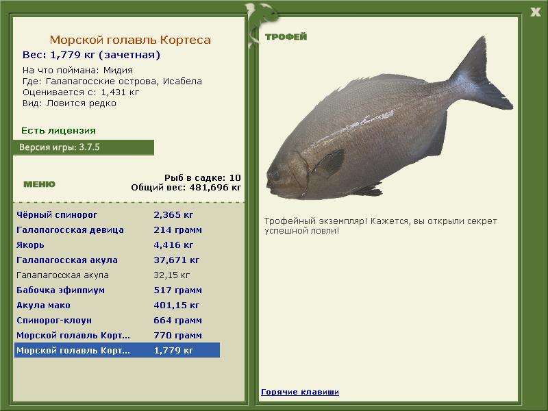 Морской голавль Кортеса 