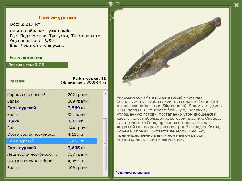 РУССКАЯ РЫБАЛКА Installsoft Edition 