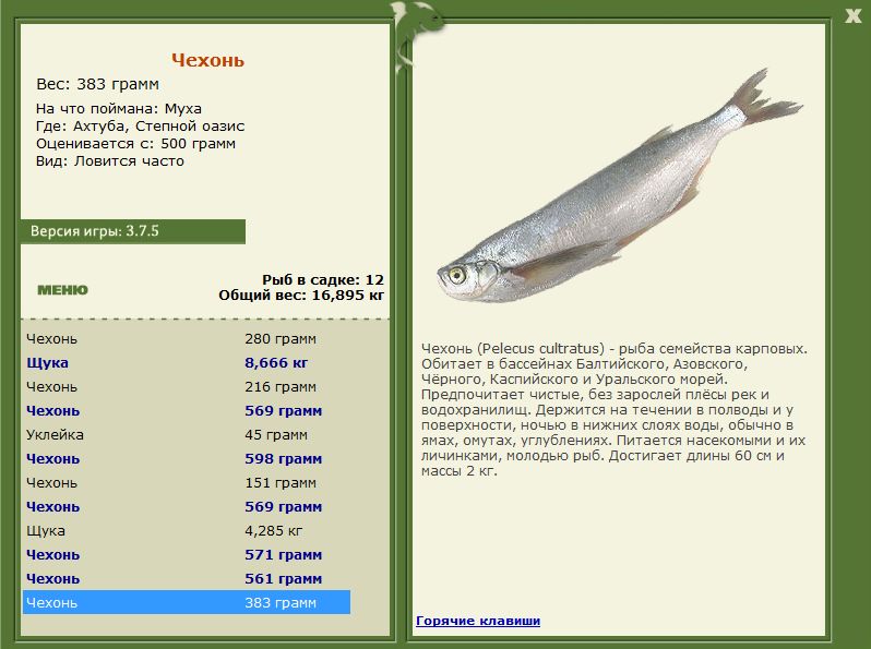 РУССКАЯ РЫБАЛКА Installsoft Edition 