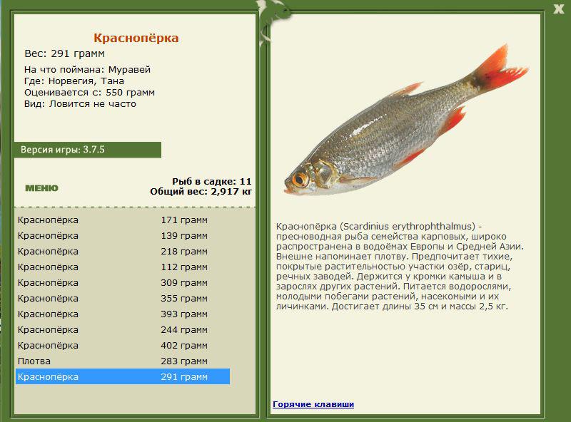 РУССКАЯ РЫБАЛКА Installsoft Edition 