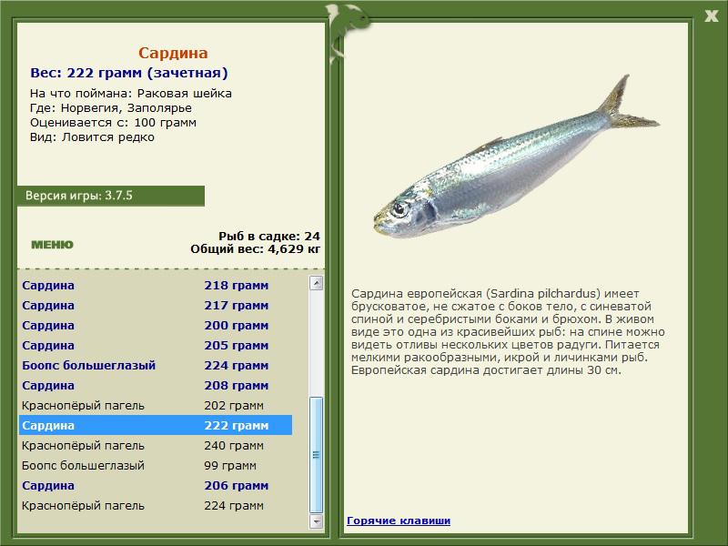 РУССКАЯ РЫБАЛКА Installsoft Edition 