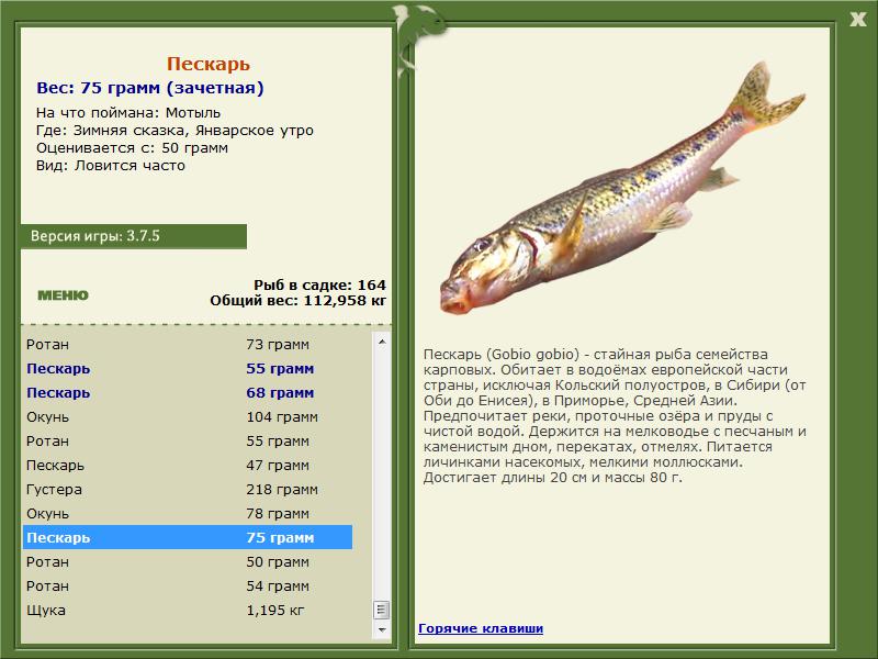РУССКАЯ РЫБАЛКА Installsoft Edition 