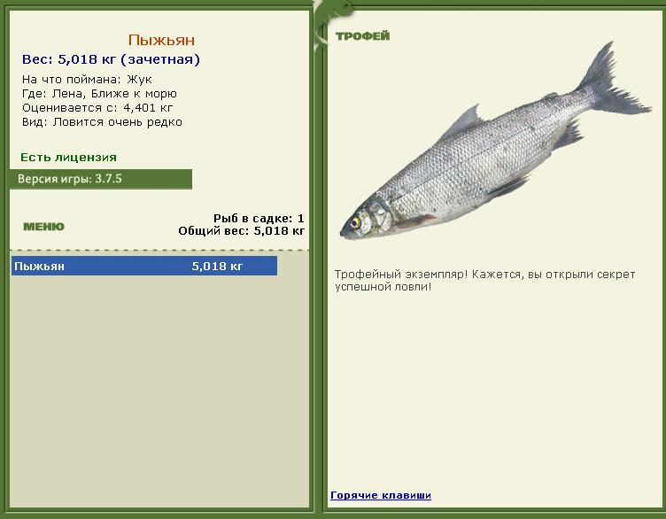 турниры • РУССКАЯ РЫБАЛКА