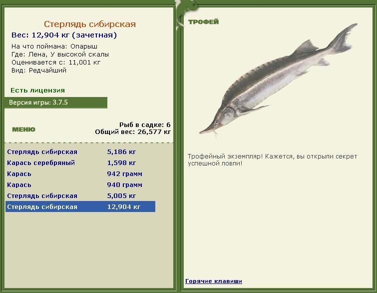 турниры • РУССКАЯ РЫБАЛКА