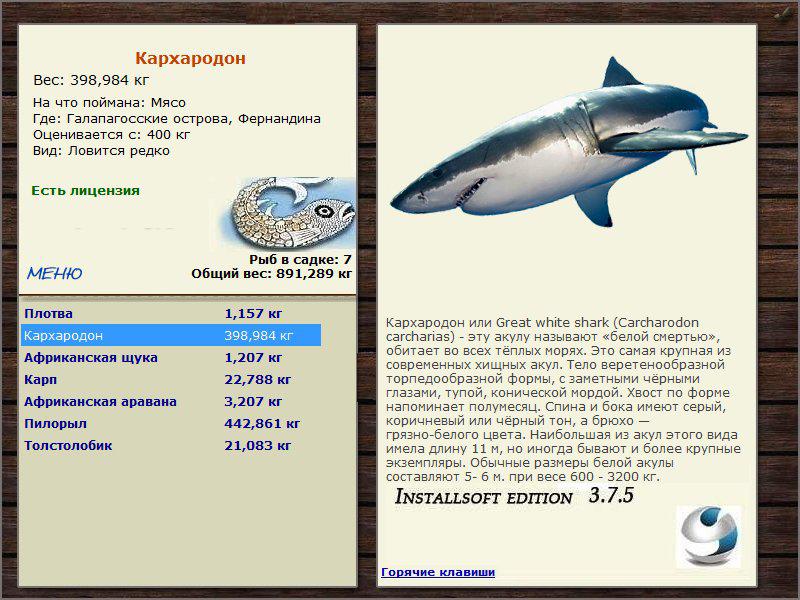 Фернандина 