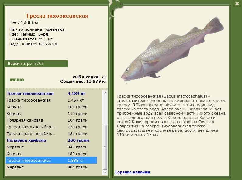 турниры • РУССКАЯ РЫБАЛКА