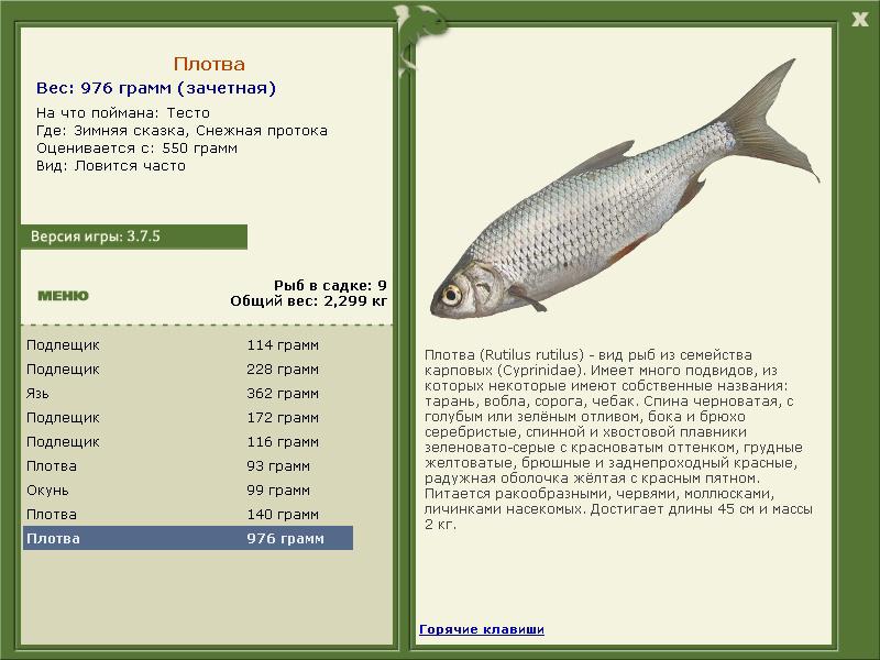 РУССКАЯ РЫБАЛКА Installsoft Edition 