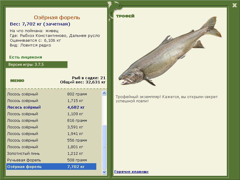 Озёрная форель 