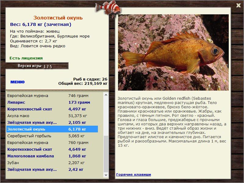 Бурлящее море 