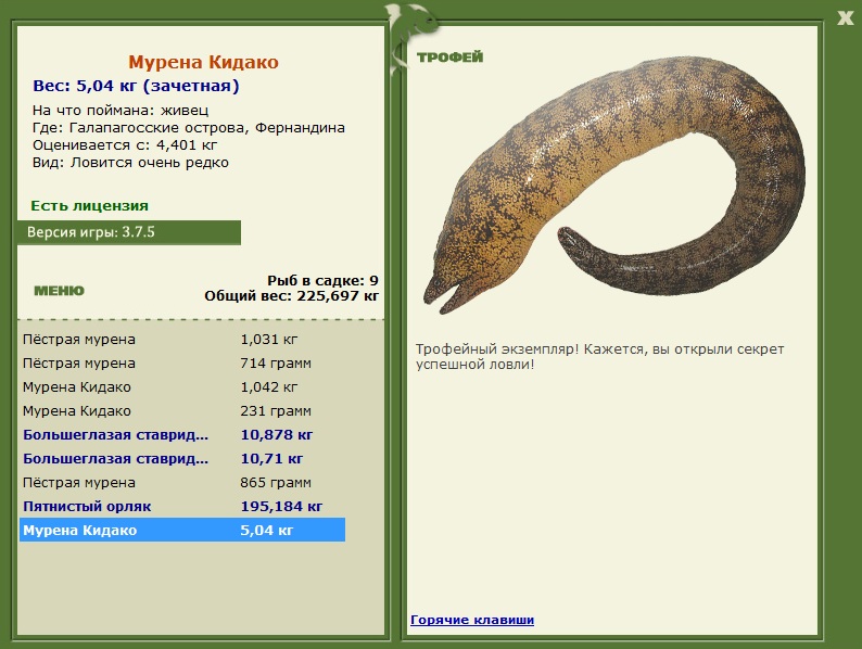Мурена Кидако 