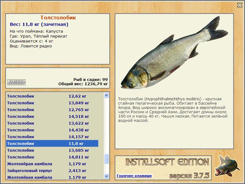 турниры • РУССКАЯ РЫБАЛКА