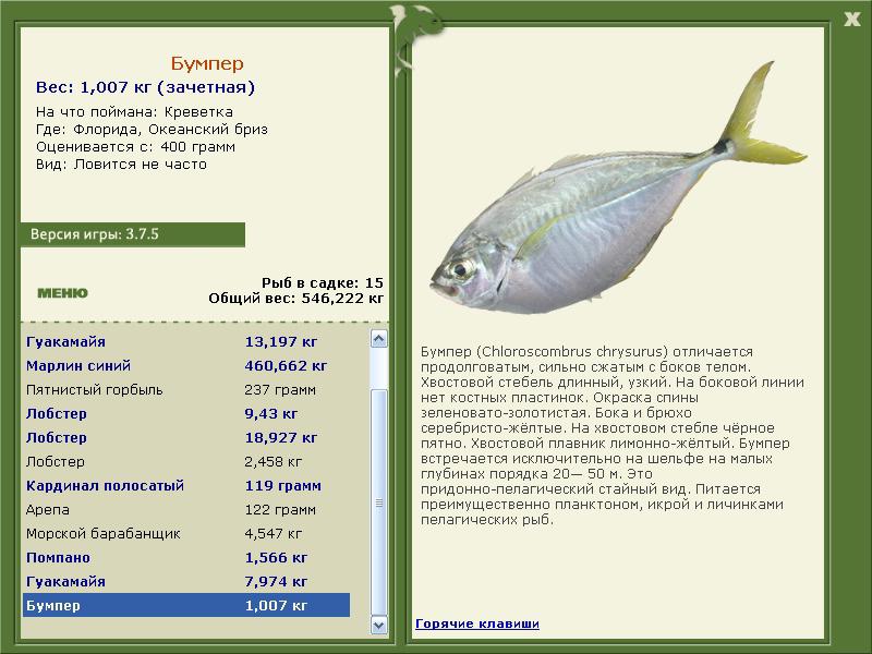 турниры • РУССКАЯ РЫБАЛКА