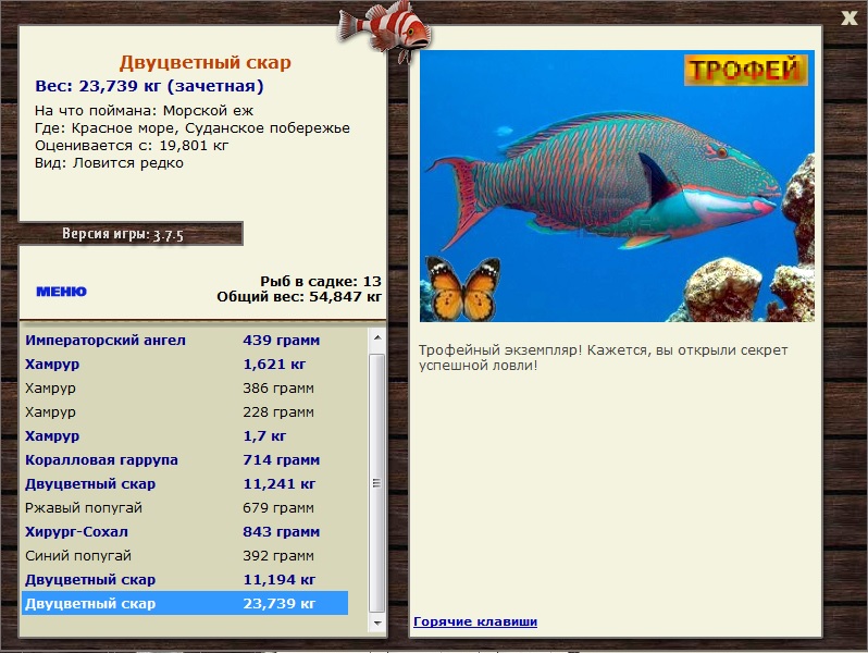 Морской ёж 