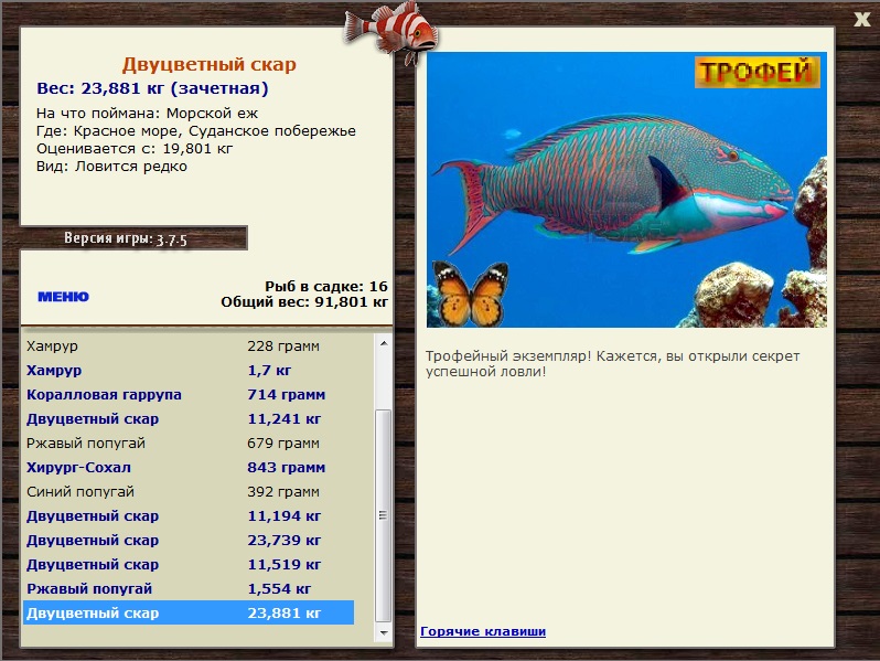 Морской ёж 