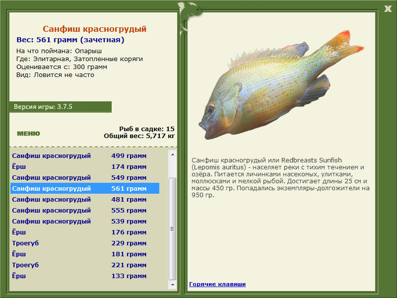 Затопленные коряги 