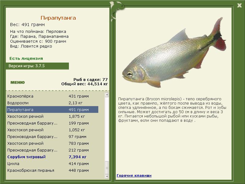 РУССКАЯ РЫБАЛКА Installsoft Edition 