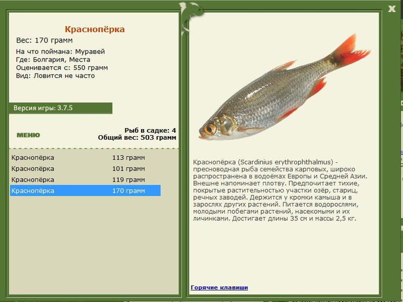 РУССКАЯ РЫБАЛКА Installsoft Edition 