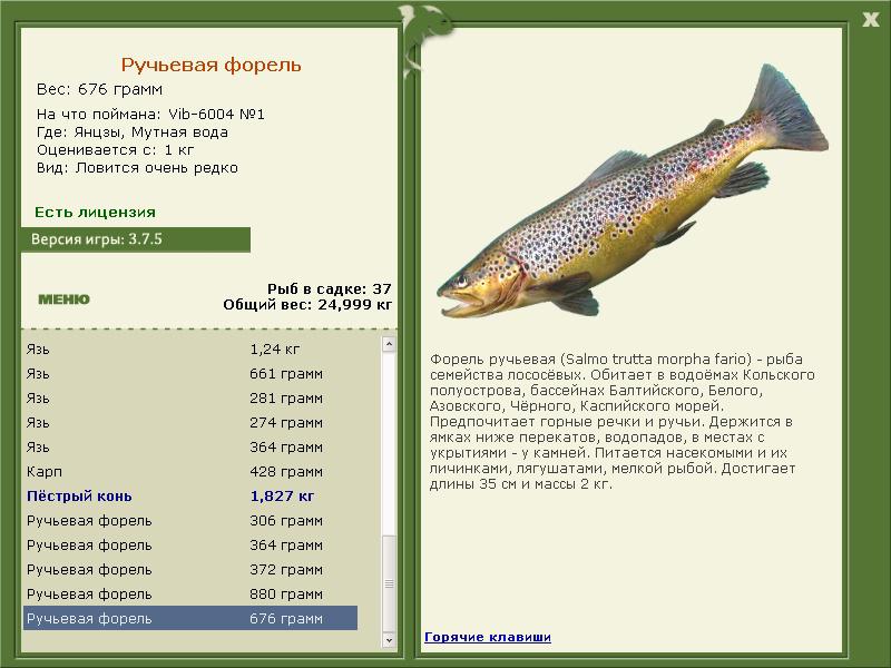 РУССКАЯ РЫБАЛКА Installsoft Edition 