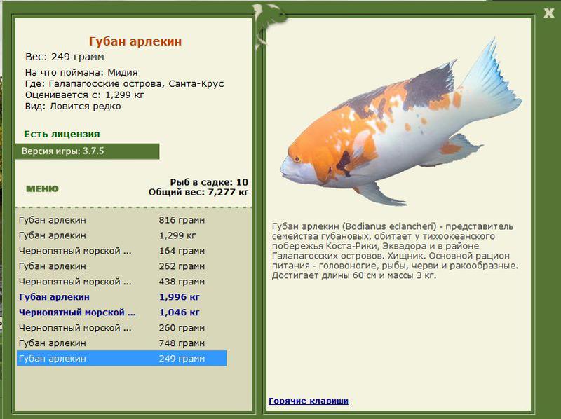РУССКАЯ РЫБАЛКА Installsoft Edition 