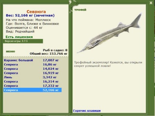 Севрюга 